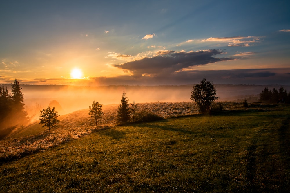 Sunset over Eden meadow
